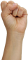 signlanguage uid 1615359